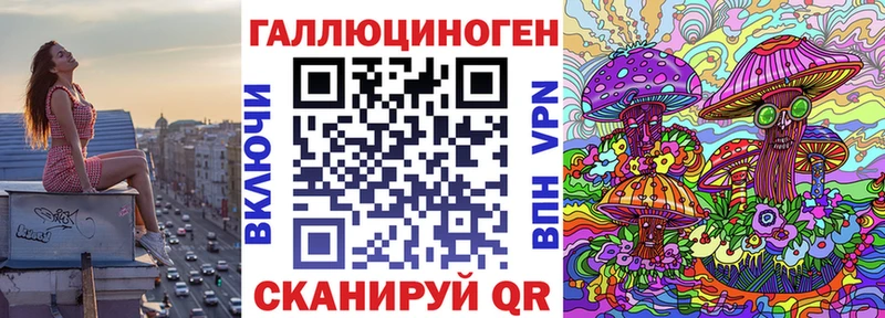 Галлюциногенные грибы GOLDEN TEACHER  гидра маркетплейс  Мурино  купить закладку 