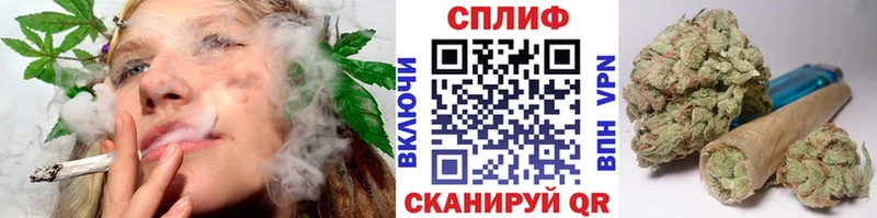 кракен tor  продажа наркотиков  Мурино  Марихуана тримм 